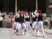 Berriz dantzari-dantza San Pedro 2005