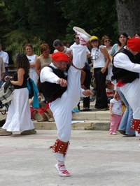 Berriz dantzari-dantza San Pedro 2005