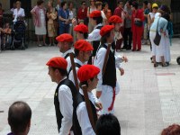 Berriz dantzari-dantza San Pedro 2005