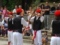 Berriz dantzari-dantza San Pedro 2005