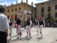 Berriz dantzari-dantza San Pedro 2005