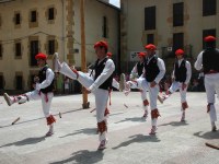 Berriz dantzari-dantza San Pedro 2005