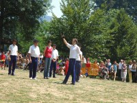 Bergara soka-dantza San Martzial 2005
