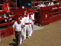Deba San Roke soka-dantza 2005