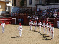 Deba San Roke soka-dantza 2005