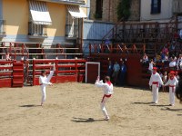 Deba San Roke soka-dantza 2005