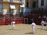 Deba San Roke soka-dantza 2005