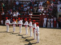 Deba San Roke soka-dantza 2005