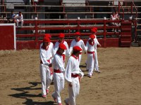 Deba San Roke soka-dantza 2005