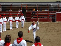 Deba San Roke soka-dantza 2005