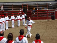 Deba San Roke soka-dantza 2005