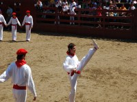 Deba San Roke soka-dantza 2005