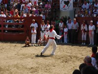 Deba San Roke soka-dantza 2005