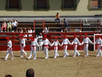 Deba San Roke soka-dantza 2005