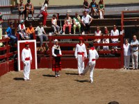 Deba San Roke soka-dantza 2005