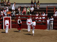 Deba San Roke soka-dantza 2005