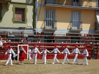 Deba San Roke soka-dantza 2005