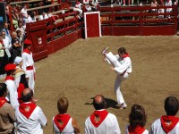 Deba San Roke soka-dantza 2005
