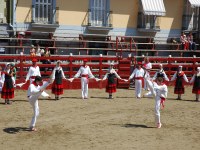 Deba San Roke soka-dantza 2005