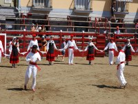 Deba San Roke soka-dantza 2005