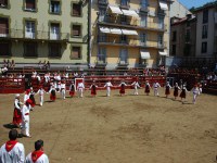 Deba San Roke soka-dantza 2005