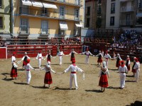 Deba San Roke soka-dantza 2005