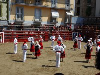 Deba San Roke soka-dantza 2005
