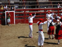 Deba San Roke soka-dantza 2005