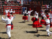 Deba San Roke soka-dantza 2005