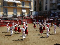 Deba San Roke soka-dantza 2005