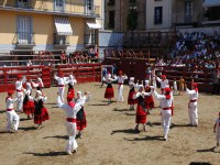 Deba San Roke soka-dantza 2005