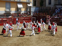 Deba San Roke soka-dantza 2005