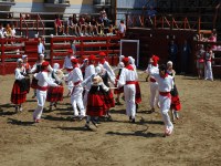 Deba San Roke soka-dantza 2005