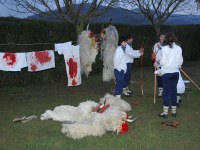 Altsasu inauteriak 2006