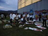 Altsasu inauteriak 2006