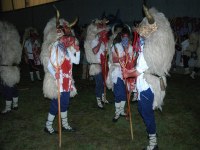 Altsasu inauteriak 2006