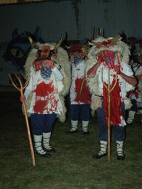 Altsasu inauteriak 2006