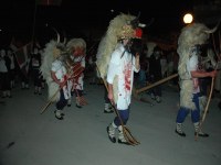 Altsasu inauteriak 2006