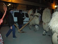 Altsasu inauteriak 2006