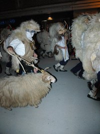 Altsasu inauteriak 2006