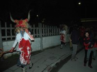 Altsasu inauteriak 2006