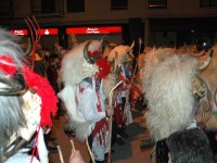 Altsasu inauteriak 2006