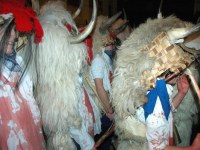 Altsasu inauteriak 2006
