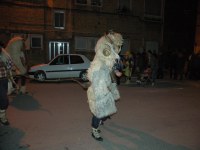 Altsasu inauteriak 2006