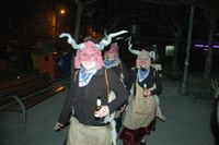 Altsasu inauteriak 2008 097
