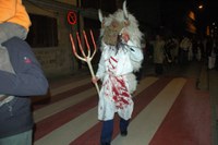 Altsasu inauteriak 2008 003