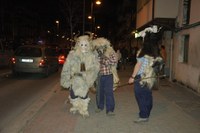 Altsasu inauteriak 2008 034