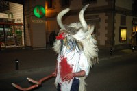 Altsasu inauteriak 2008 037