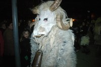 Altsasu inauteriak 2008 079
