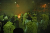 Altsasu inauteriak 2008 084